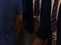 cock