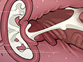 dick