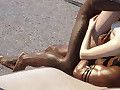 pussy